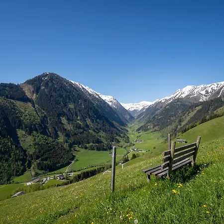 Hochalmbahnen 13w3, Alpenmohn, Nahe Gondel, Hunde Willkommen Rauris