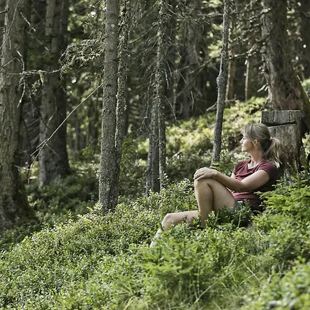 Hochalmbahnen Chalets 13W3, Alpenmohn, Nahe Gondel, Hunde Willkommen * ラウリス