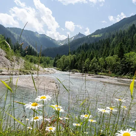 Hochalmbahnen 13w3, Alpenmohn, Nahe Gondel, Hunde Willkommen