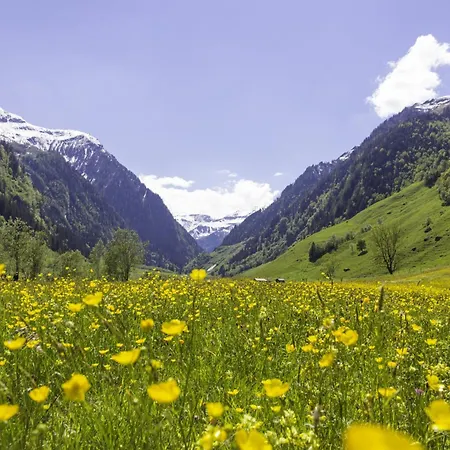 Hochalmbahnen 13w3, Alpenmohn, Nahe Gondel, Hunde Willkommen Apartamento *