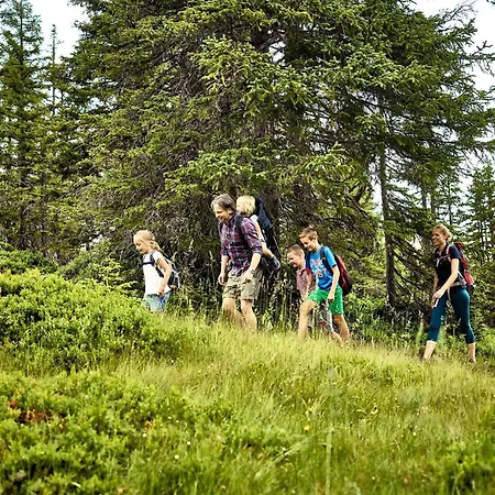 Hochalmbahnen Chalets 13W3, Alpenmohn, Nahe Gondel, Hunde Willkommen *