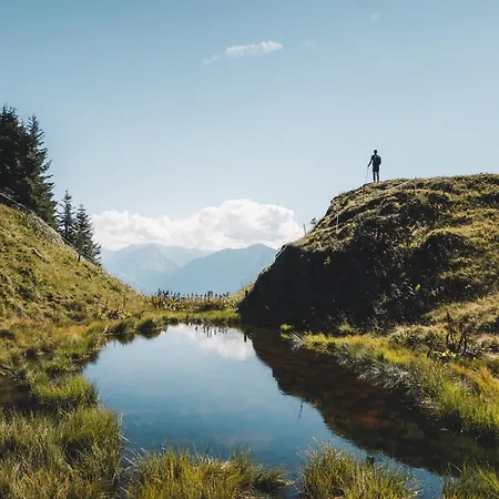 Hochalmbahnen 13w3, Alpenmohn, Nahe Gondel, Hunde Willkommen *