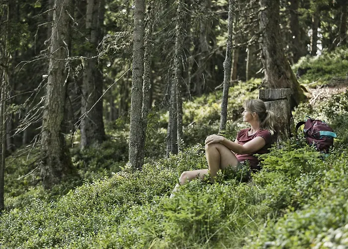 Hochalmbahnen Chalets 13W3, Alpenmohn, Nahe Gondel, Hunde Willkommen * ラウリス