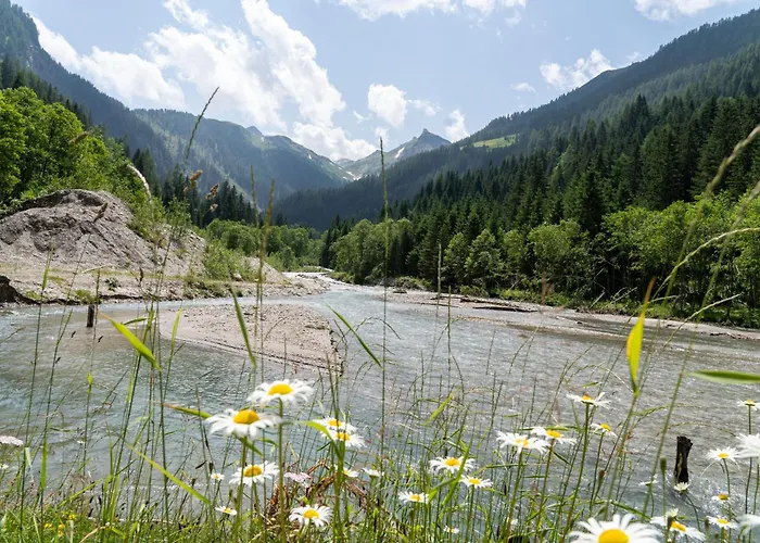 Hochalmbahnen Chalets 13W3, Alpenmohn, Nahe Gondel, Hunde Willkommen