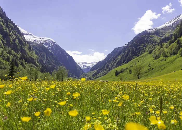 Hochalmbahnen Chalets 13W3, Alpenmohn, Nahe Gondel, Hunde Willkommen アパート *