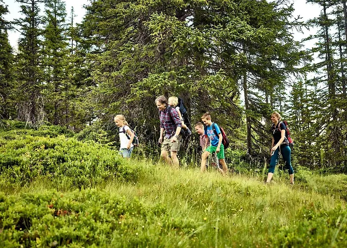 Hochalmbahnen Chalets 13W3, Alpenmohn, Nahe Gondel, Hunde Willkommen *