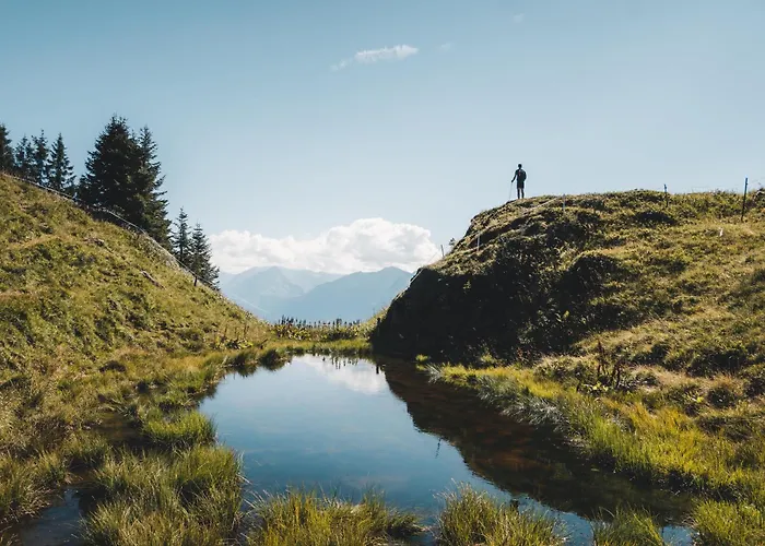 Hochalmbahnen Chalets 13W3, Alpenmohn, Nahe Gondel, Hunde Willkommen *