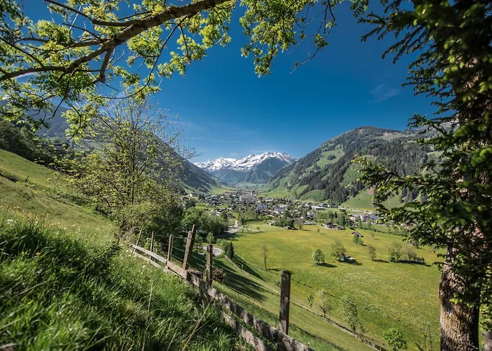 Hochalmbahnen Chalets 13W3, Alpenmohn, Nahe Gondel, Hunde Willkommen