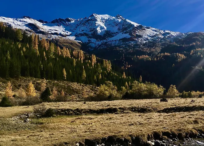 アパート Hochalmbahnen Chalets 13W3, Alpenmohn, Nahe Gondel, Hunde Willkommen ラウリス